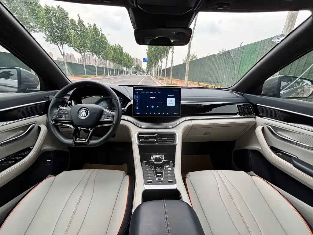 BYD PLUS New Energy 2023 из CN, фото 8