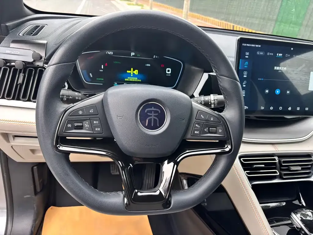 BYD PLUS New Energy 2023 из CN, фото 3