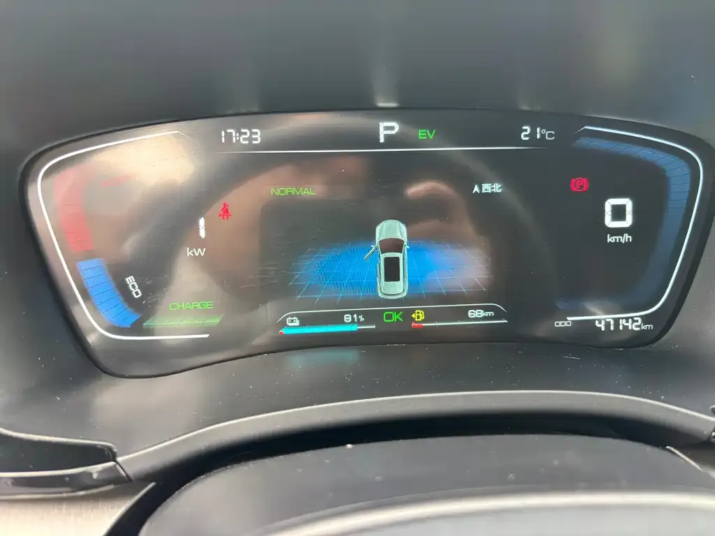 BYD PLUS New Energy 2023 из CN, фото 2