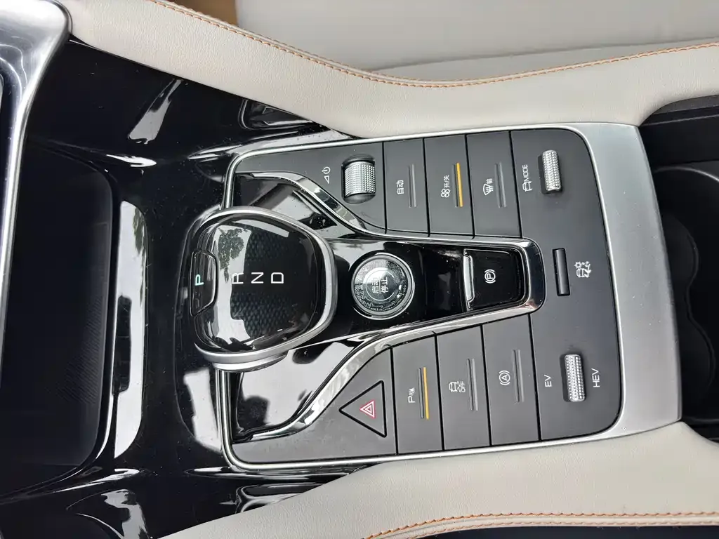 BYD PLUS New Energy 2023 из CN, фото 7