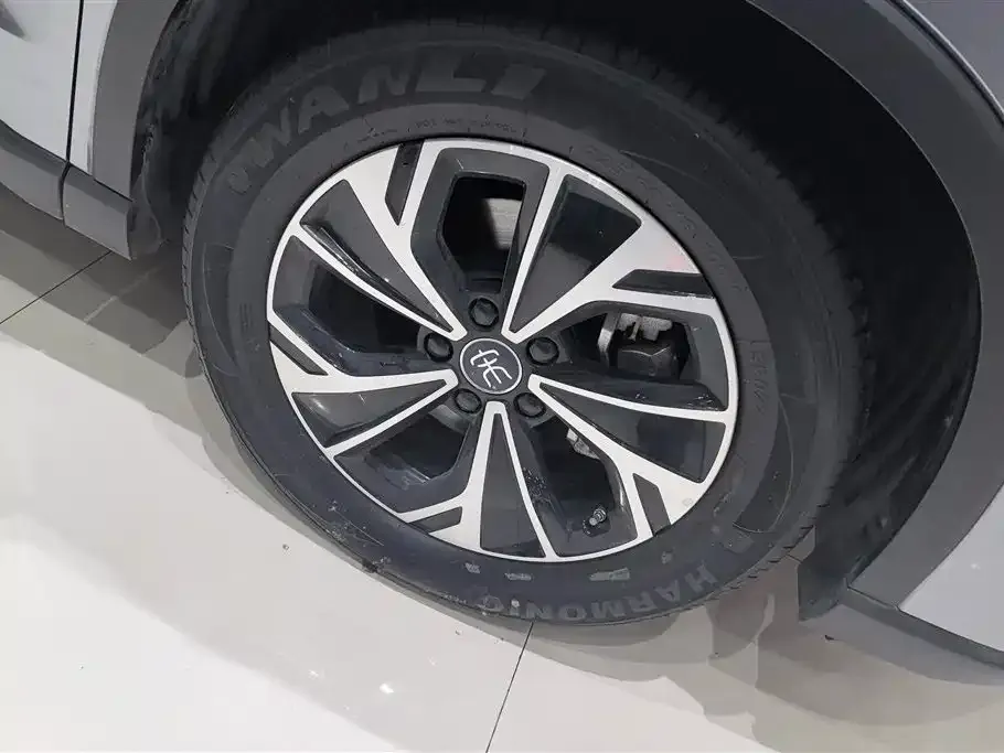 BYD Pro New Energy — фото 9