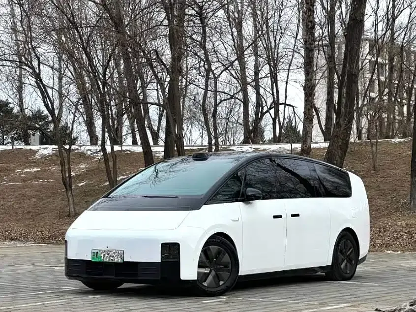 Li Auto MEGA 2025 из CN, фото 10