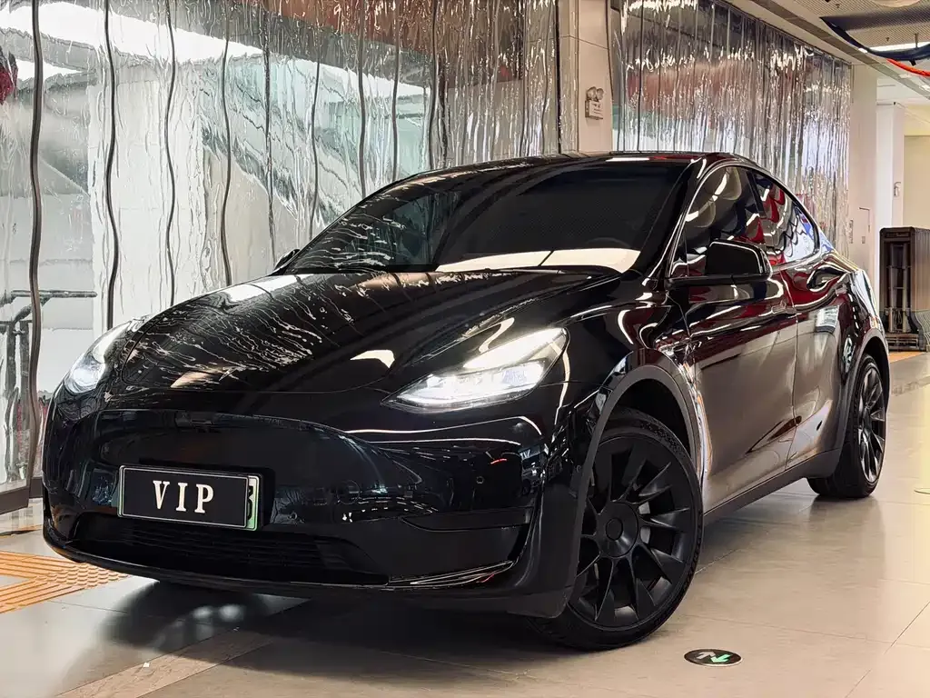 Tesla Model Y — фото 1