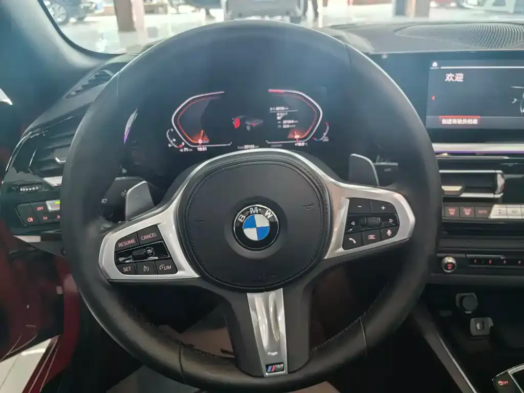 BMW Z4 2021 из CN, фото 4