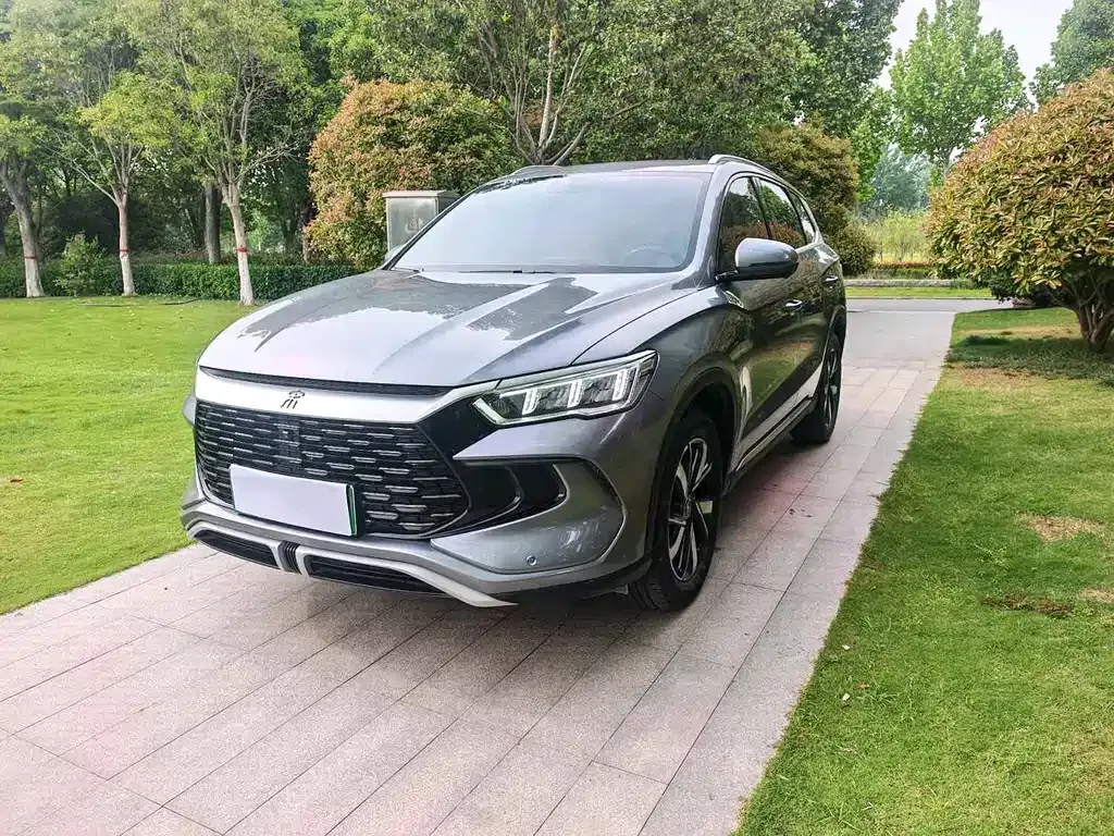 BYD Pro New Energy