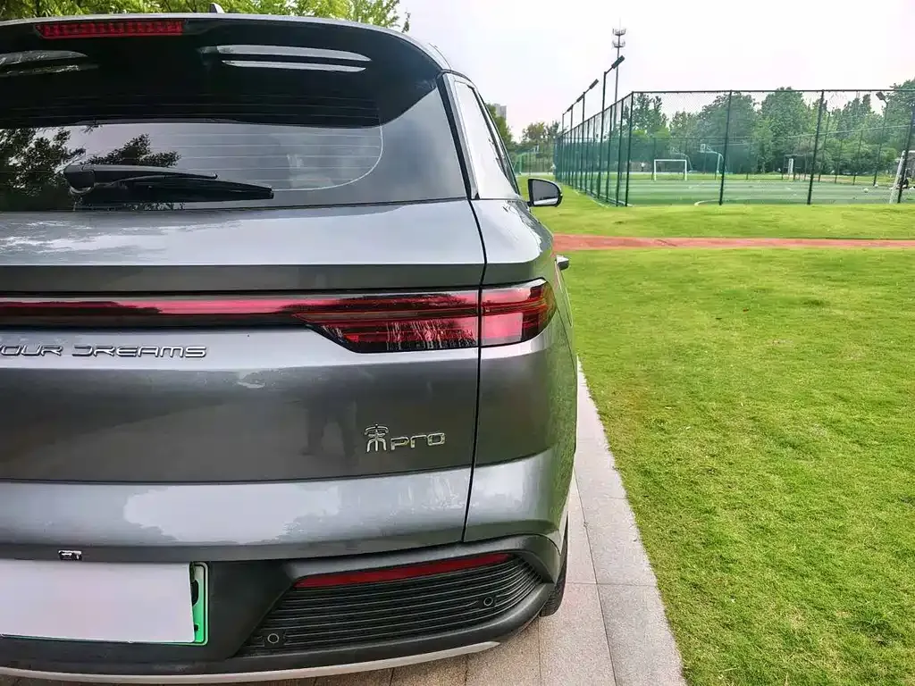 BYD Pro New Energy 2024 из CN, фото 8