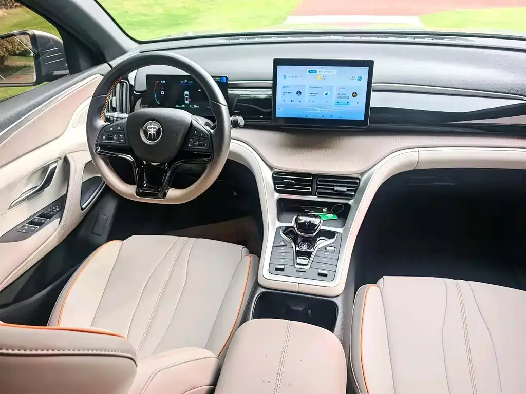 BYD Pro New Energy 2024 из CN, фото 4