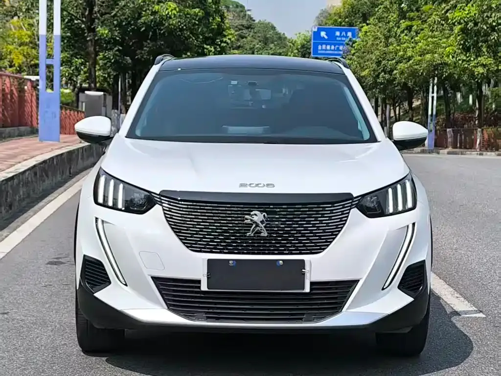 Peugeot 2008 2023 из CN, фото 2