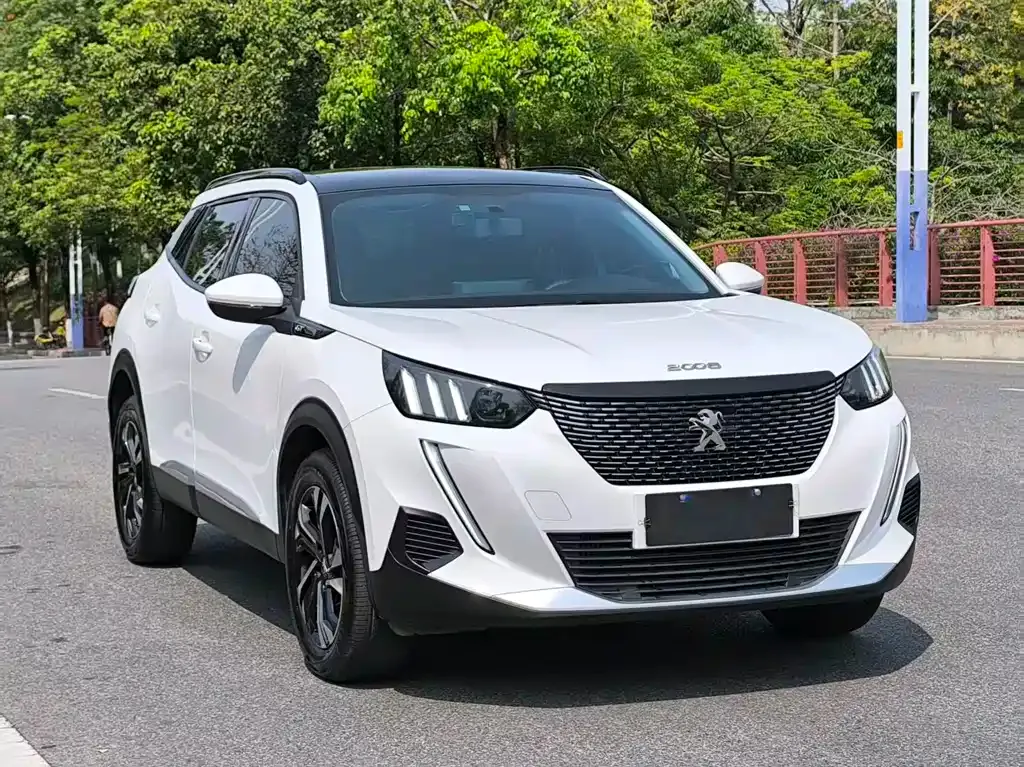 Peugeot 2008 2023 из CN, фото 6