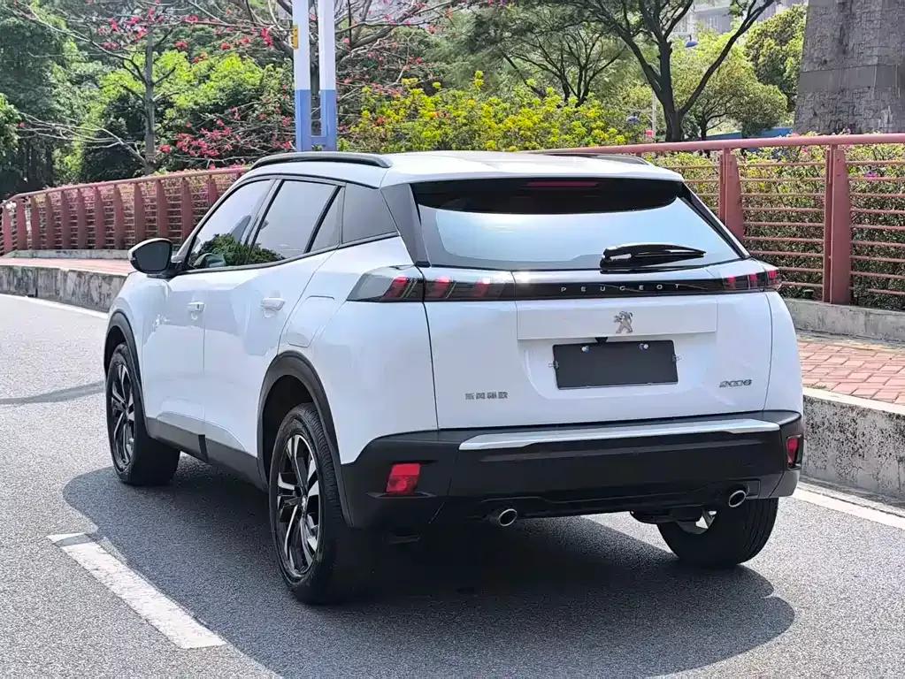Peugeot 2008 2023 из CN, фото 8