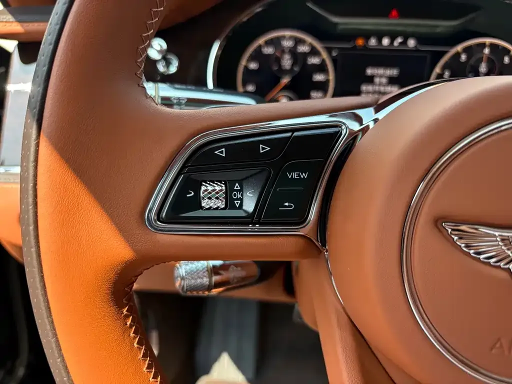Bentley Flying Spur — фото 10