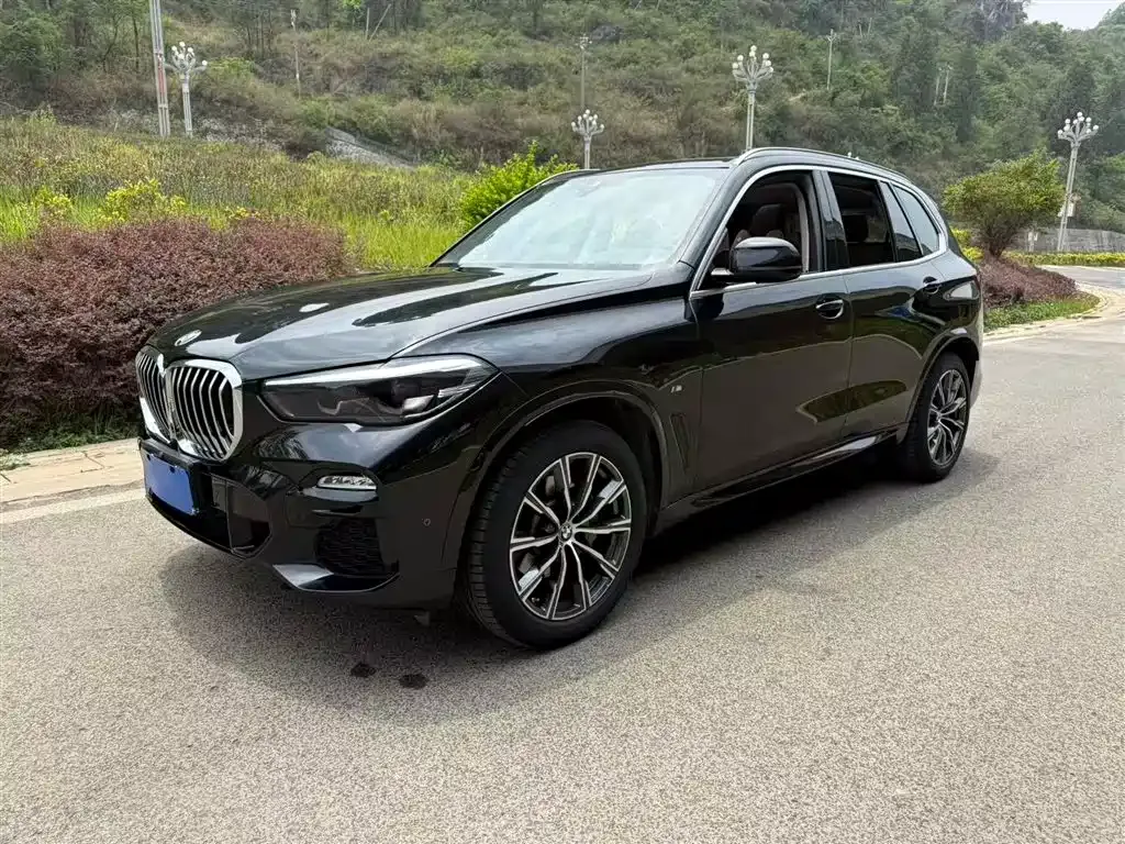 BMW X5 (Import) 2021 из CN, фото 1