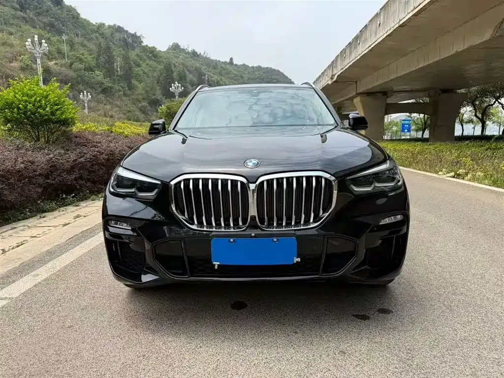 BMW X5 (Import) 2021 из CN, фото 7