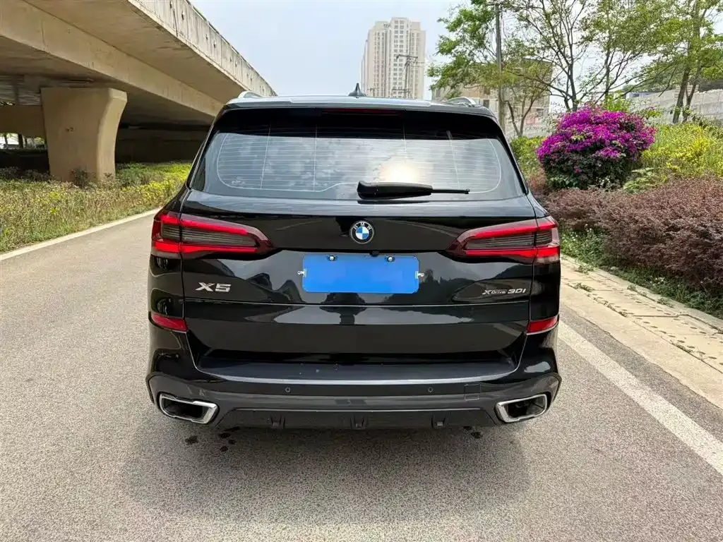 BMW X5 (Import) 2021 из CN, фото 5