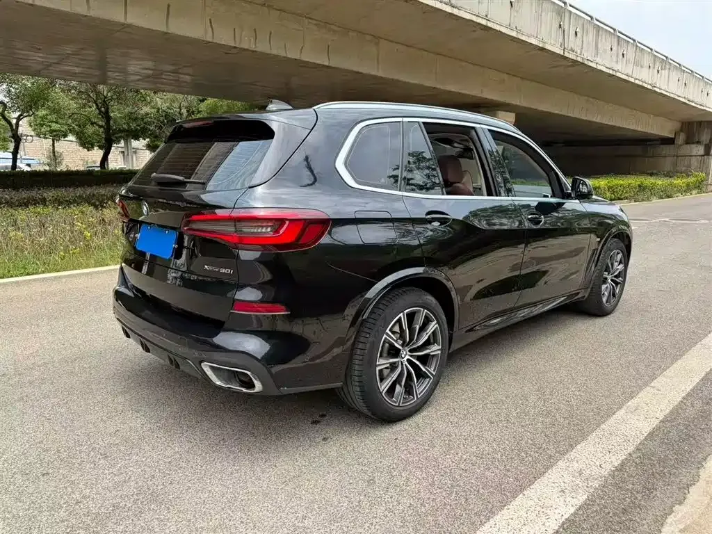 BMW X5 (Import) 2021 из CN, фото 9
