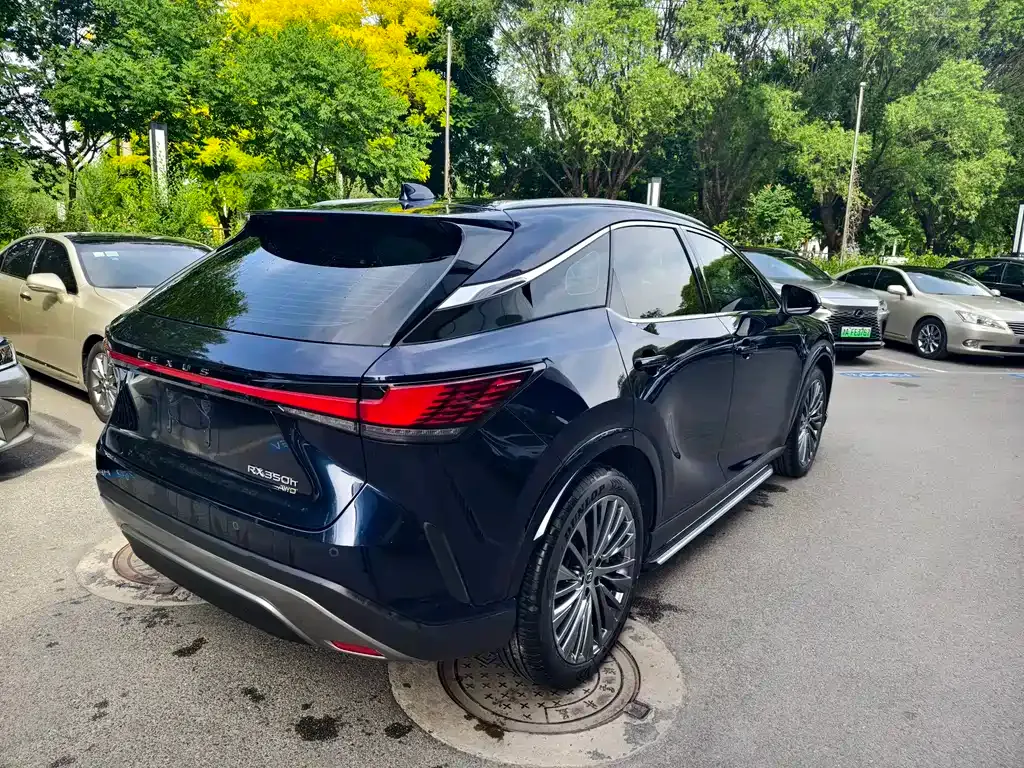 Lexus RX — фото 8