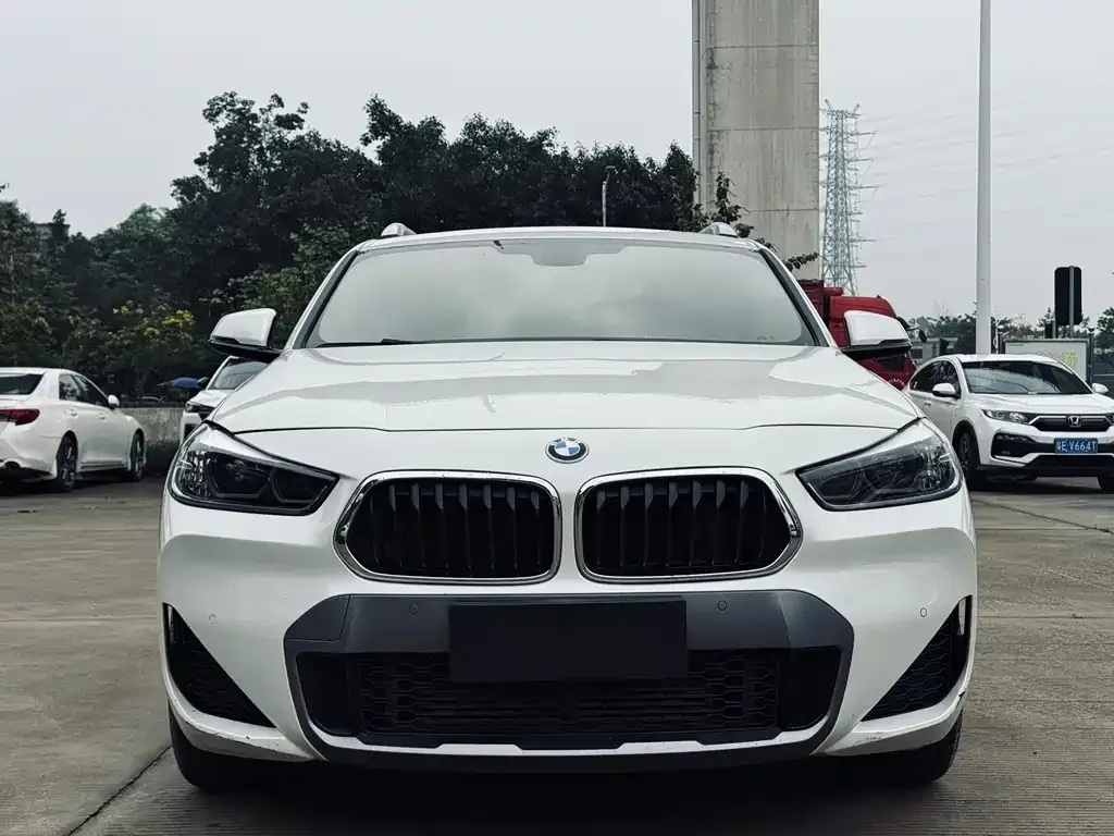 BMW X2 2021 из CN, фото 5