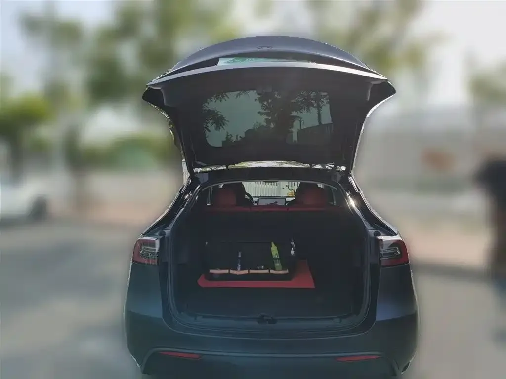 Tesla Model Y — фото 2
