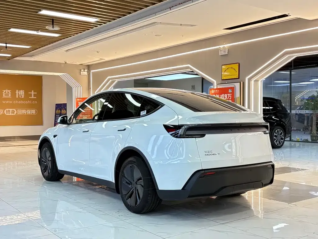 Tesla Model Y 2025 из CN, фото 4
