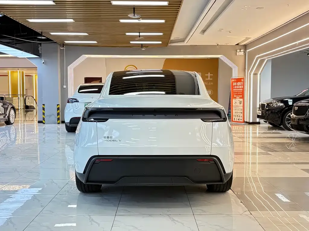 Tesla Model Y 2025 из CN, фото 8