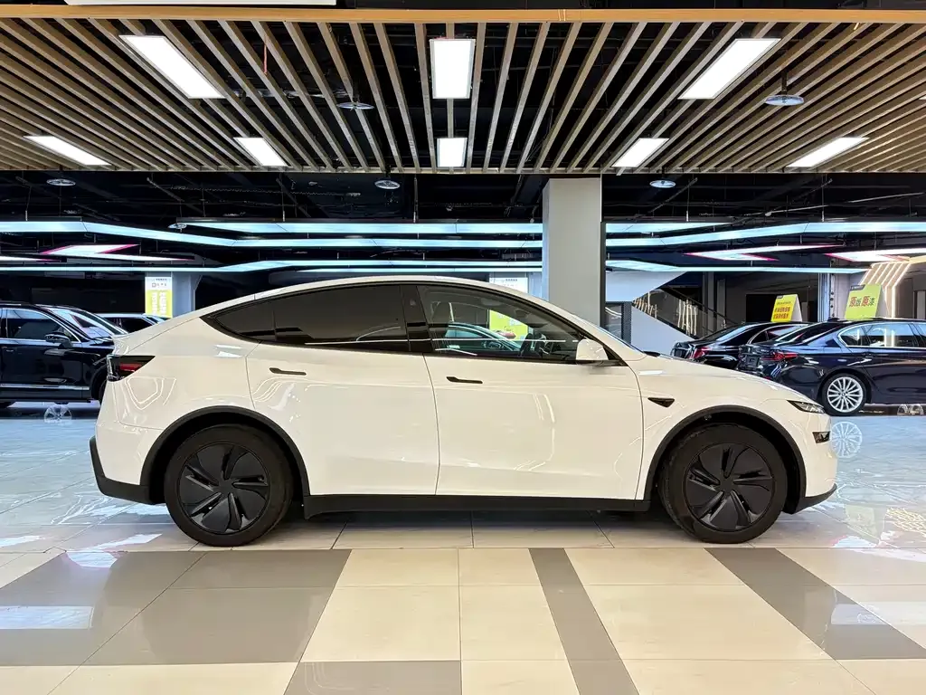 Tesla Model Y 2025 из CN, фото 5