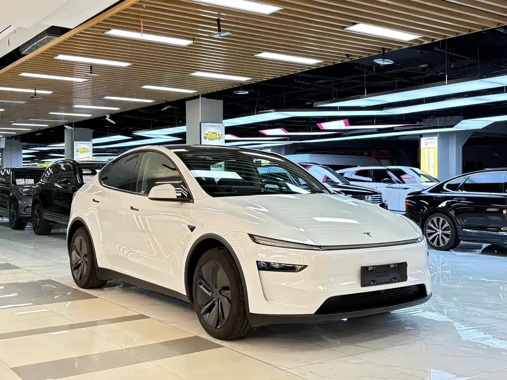 Tesla Model Y 2025 из CN, фото 7