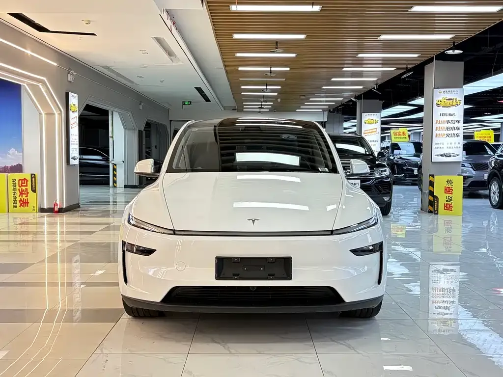 Tesla Model Y 2025 из CN, фото 6
