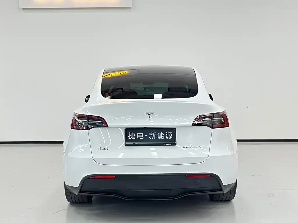 Tesla Model Y — фото 10