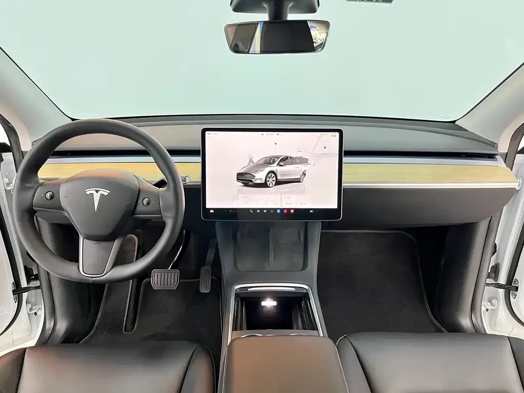 Tesla Model Y — фото 8