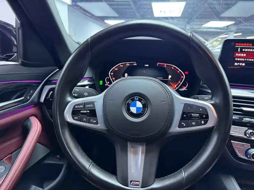 BMW 5 Series 2021 из CN, фото 9