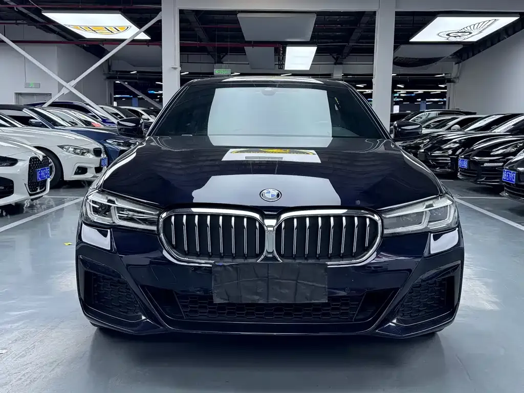 BMW 5 Series 2021 из CN, фото 8