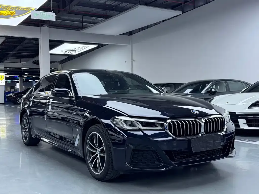 BMW 5 Series 2021 из CN, фото 2