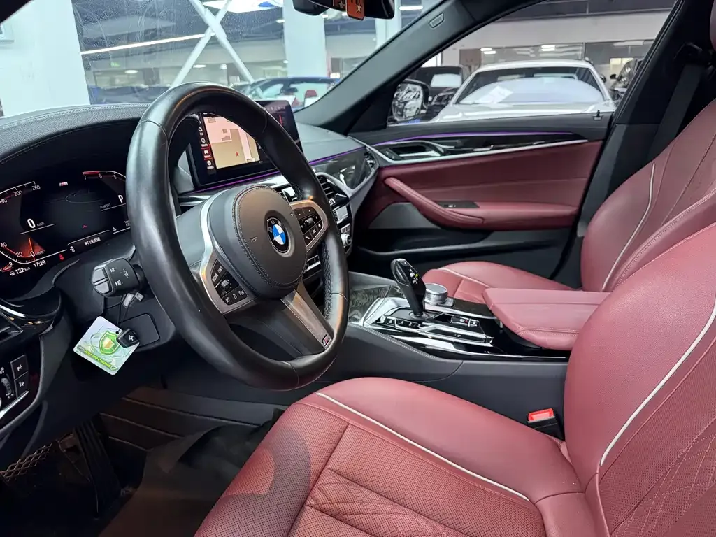 BMW 5 Series 2021 из CN, фото 5