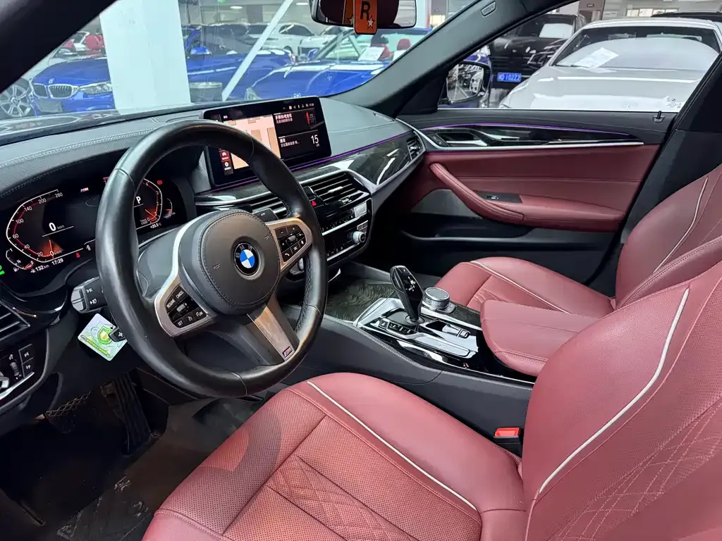 BMW 5 Series 2021 из CN, фото 7