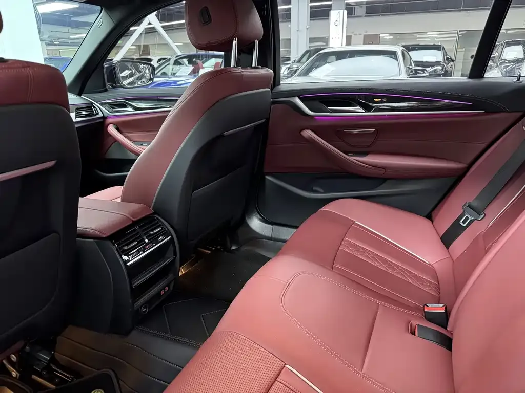 BMW 5 Series 2021 из CN, фото 10