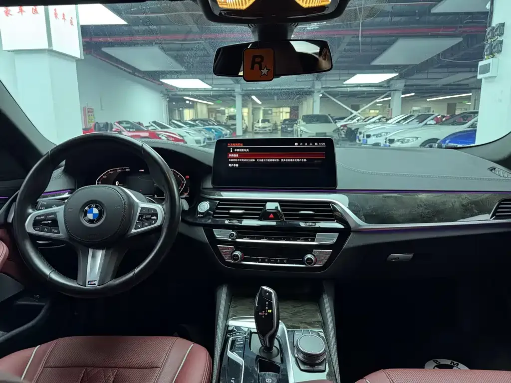 BMW 5 Series 2021 из CN, фото 6