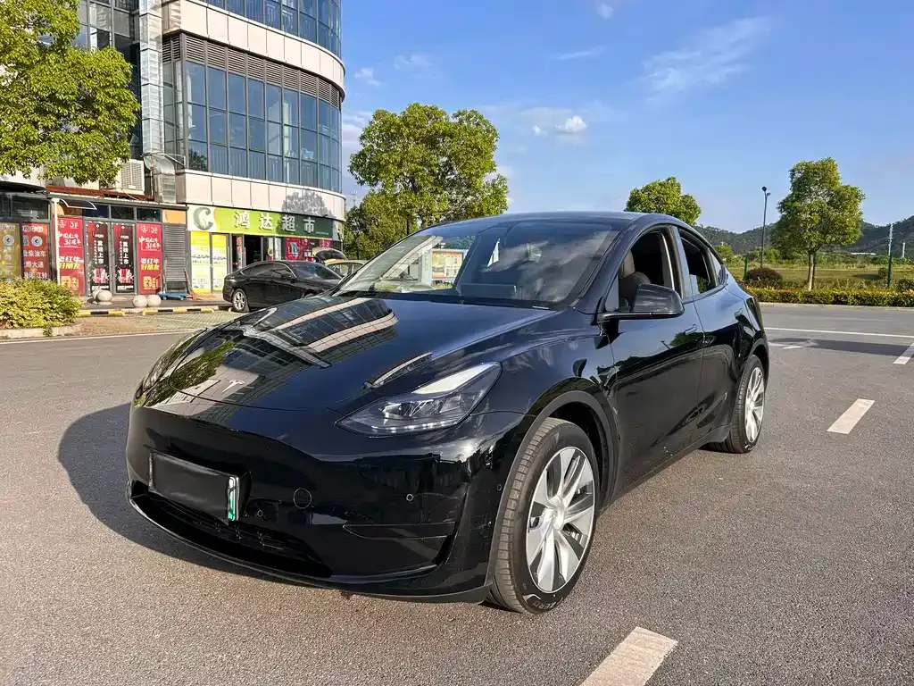Tesla Model Y — фото 1