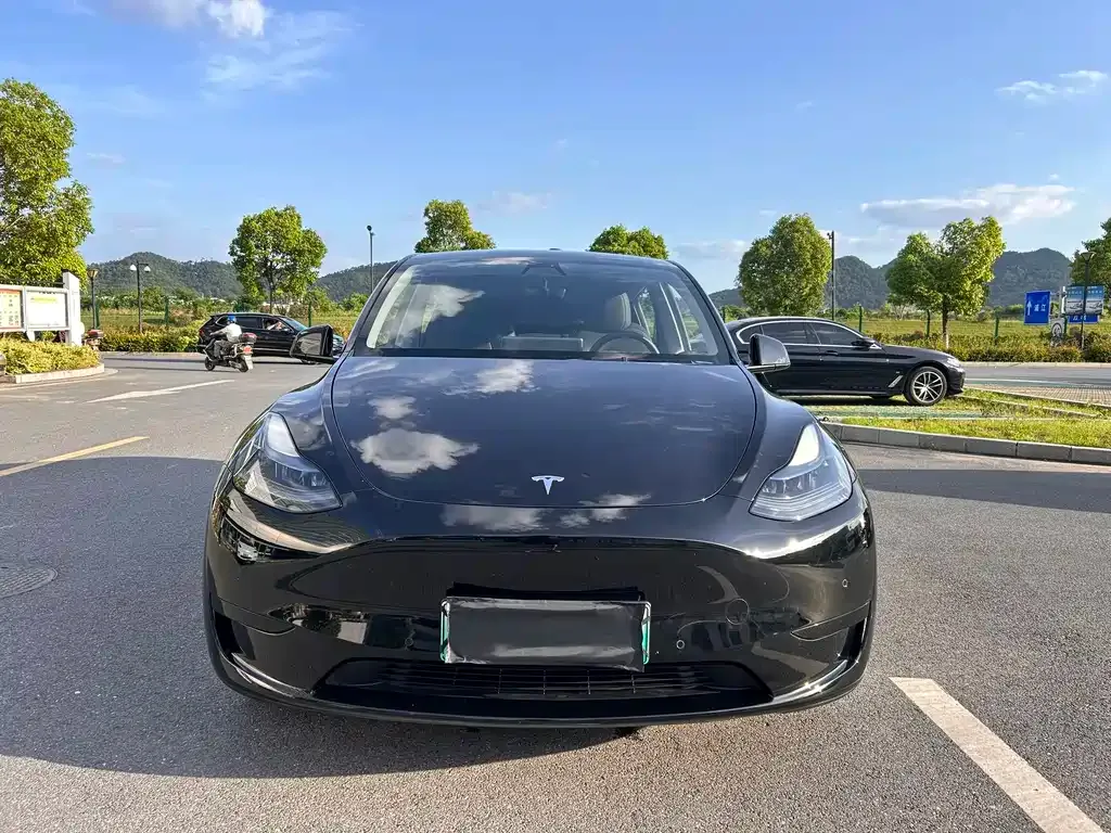 Tesla Model Y — фото 2