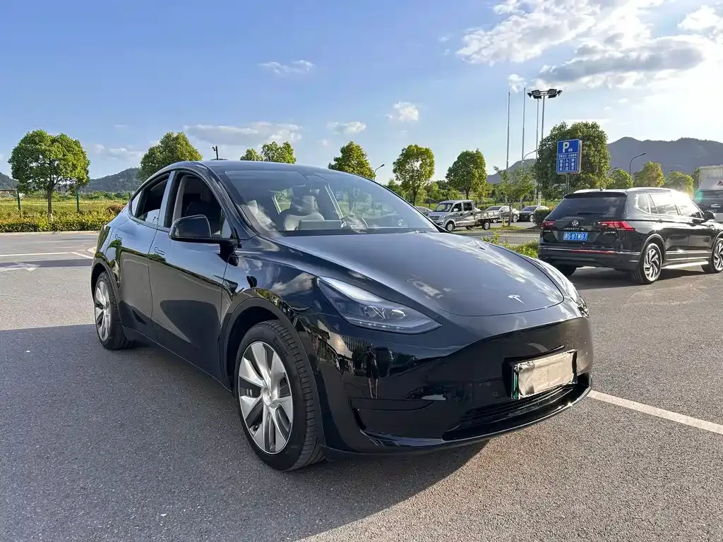 Tesla Model Y — фото 7