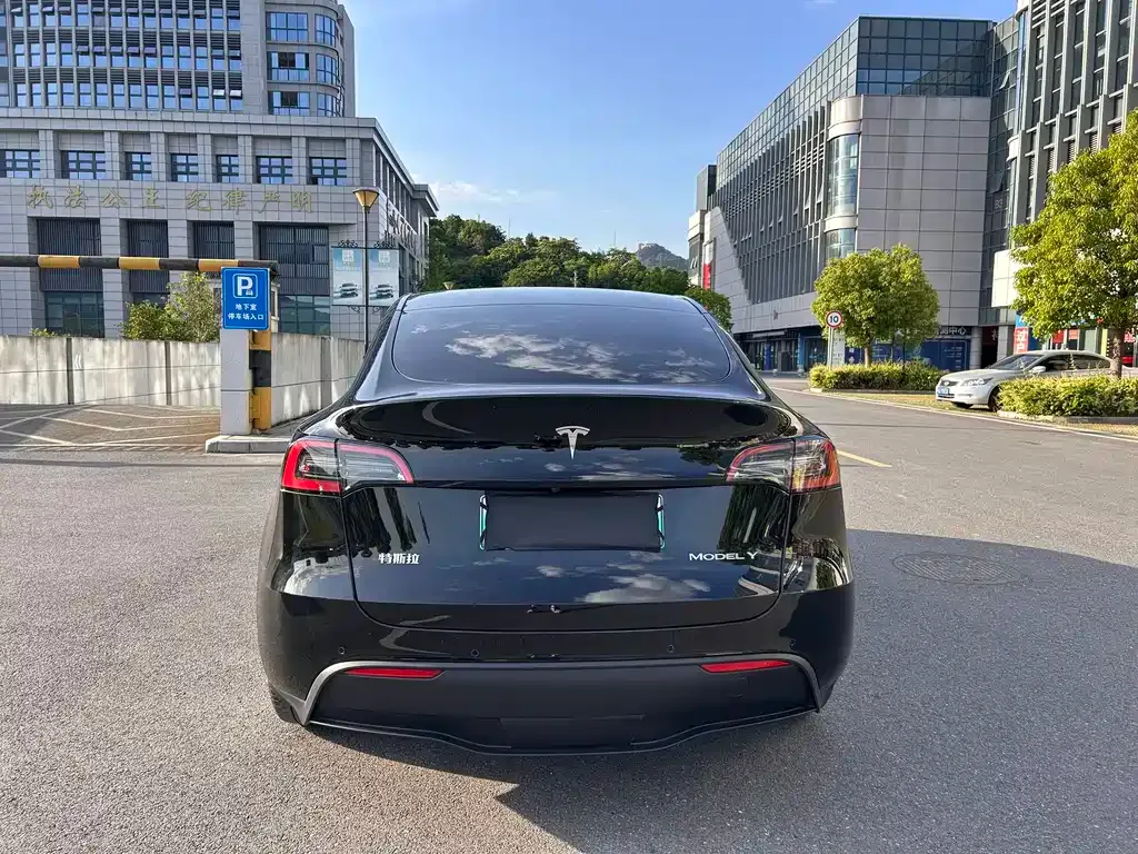 Tesla Model Y — фото 9