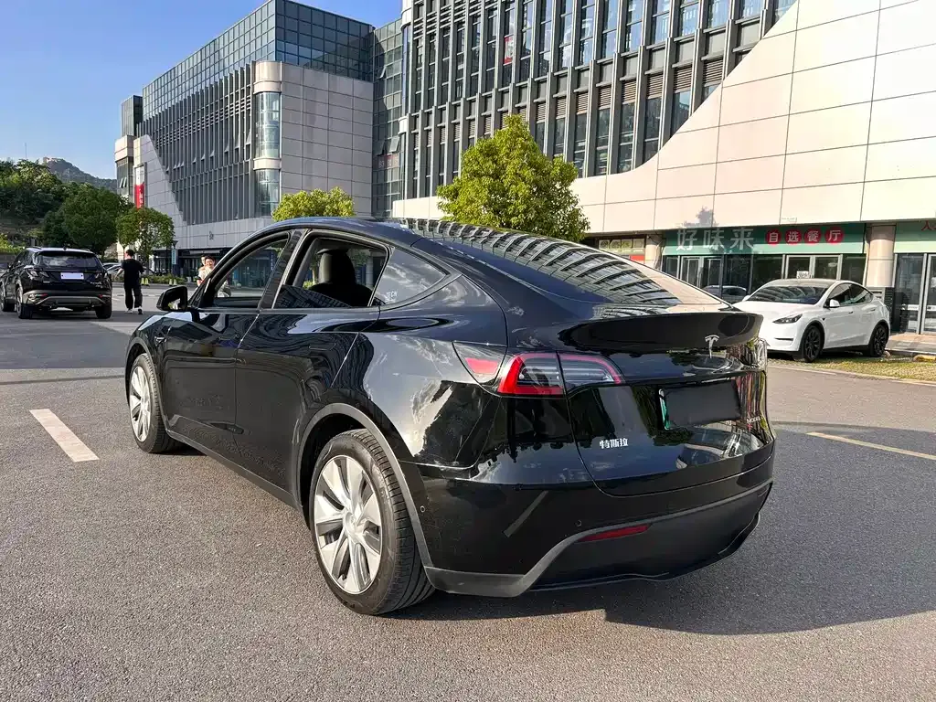 Tesla Model Y — фото 8