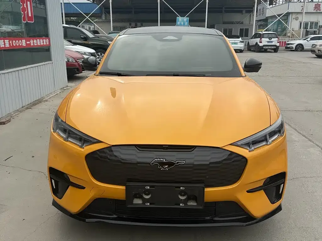 Ford Mustang Mach-E 2023 из CN, фото 5