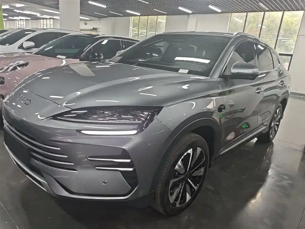BYD PLUS New Energy — фото 1
