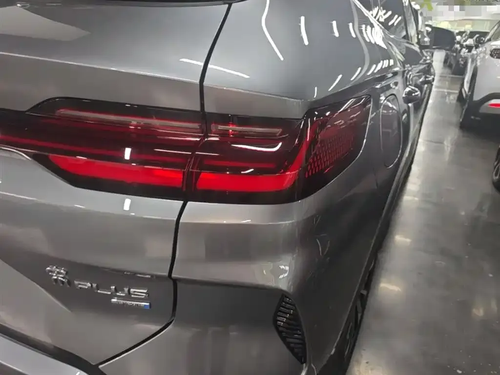 BYD PLUS New Energy — фото 4