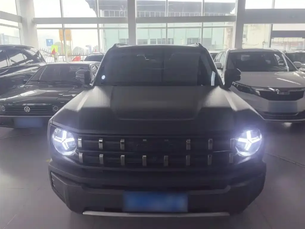 Haval Cool Dog 2022 из CN, фото 4
