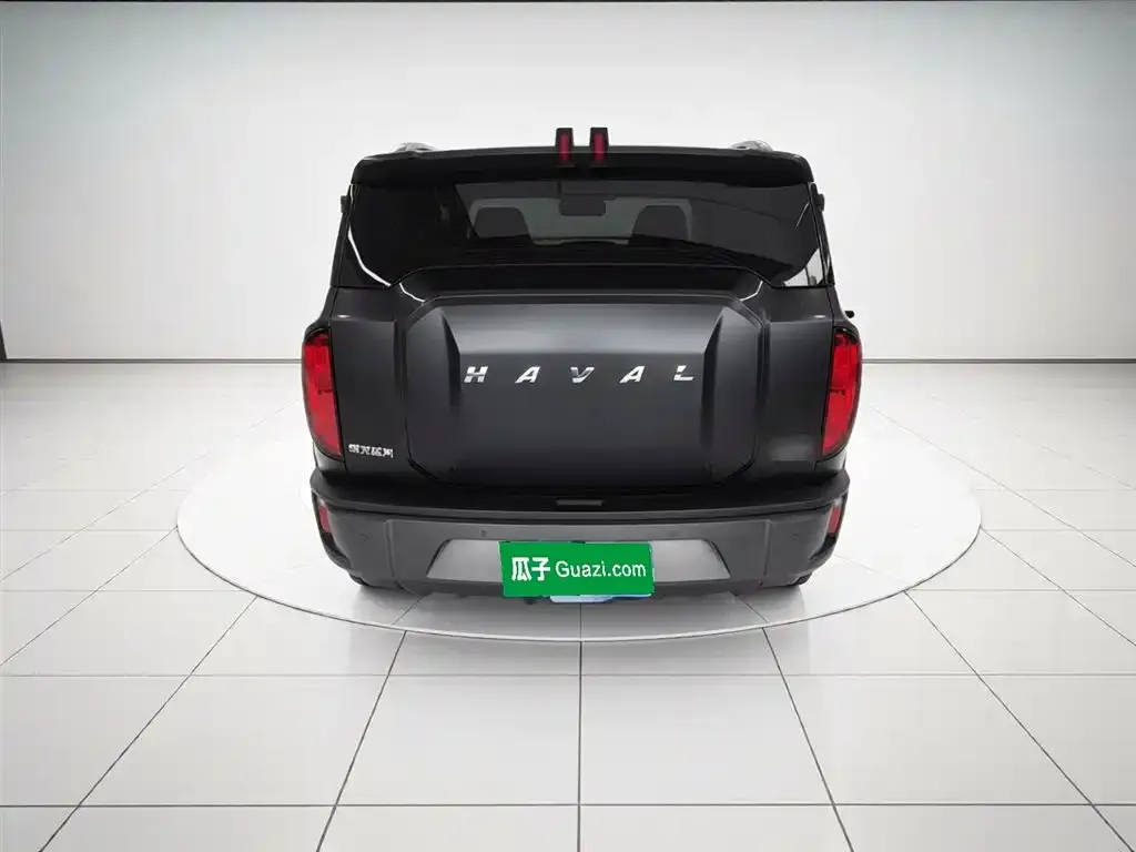 Haval Cool Dog 2022 из CN, фото 7