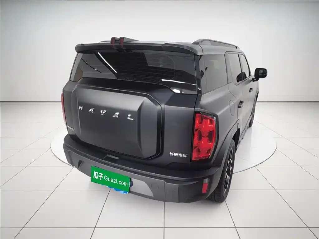 Haval Cool Dog 2022 из CN, фото 5