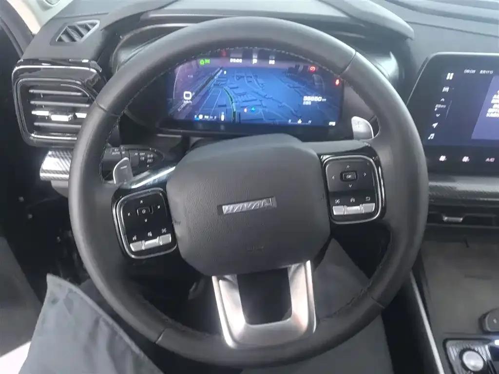 Haval Cool Dog 2022 из CN, фото 8