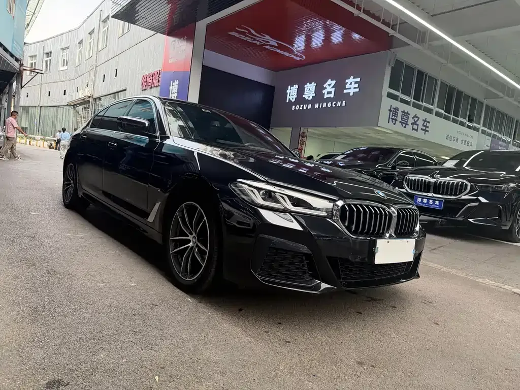 BMW 5 Series 2024 из CN, фото 4