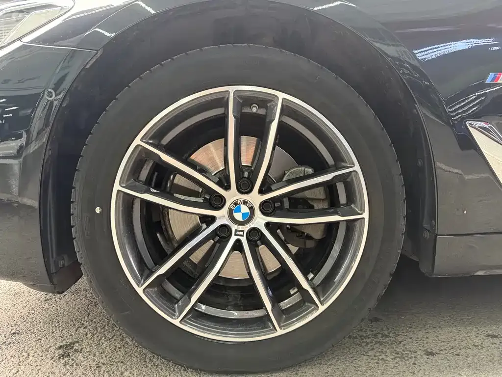 BMW 5 Series 2024 из CN, фото 6